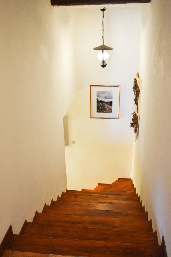 Apartment Zoja Pinezići Eksteriør billede